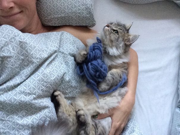 My Cat Often Brings Me Gifts In The Morning. Today Some Blue Yarn She Hunted Down In The Livingroom