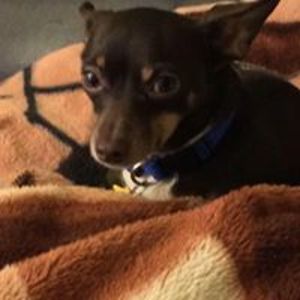 urbansynative avatar