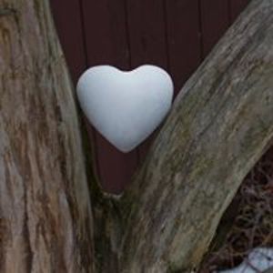 lorigiannuzzi avatar