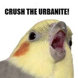 marcus_tortoise avatar