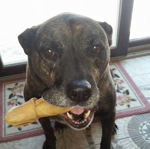 Friends Dog Brought Home A...