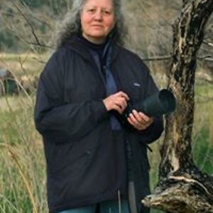 lesagephotographics avatar