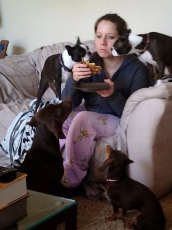 Pets Are Cute And All, But This Is The Harsh Reality