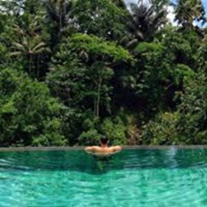 vitorprazeresalmeida avatar