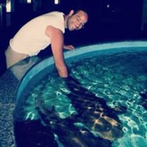 luizfernando_souza avatar