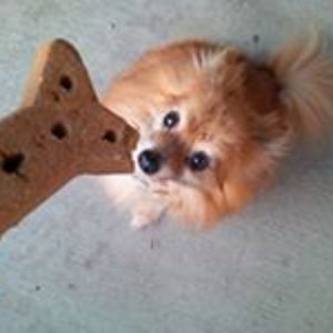 kerry_rae_krueger avatar