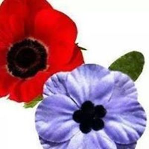 chriscooper23 avatar