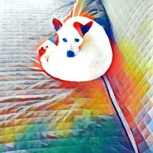 pedalcarpusher avatar