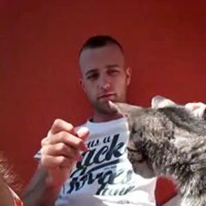 nihaddzigi007 avatar