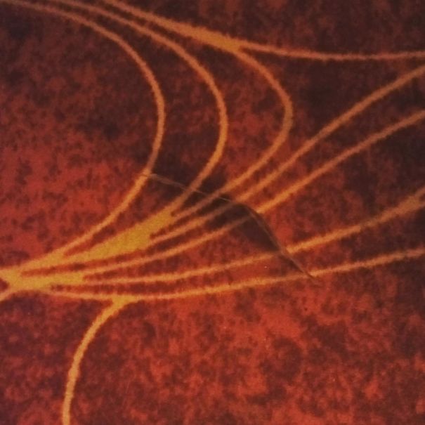 I Just Dropped My Bank Note On The Floor And I Thought It Had Disappeared