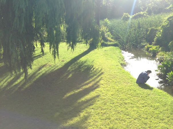 Threw My Phone Into The Air On A Timer Many Times (Yes, It Did Land In The Water Eventually), And Somehow Got This Wonderful Photo