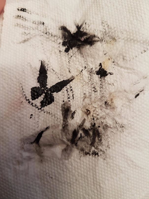 I Accidentally Put Too Much Paint On The Brush So I Pinched It On A Tissue And This Butterfly Emerged