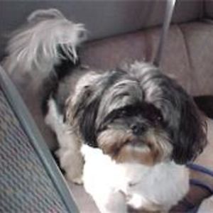 phyllis_hacker avatar