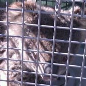 michael_welch avatar