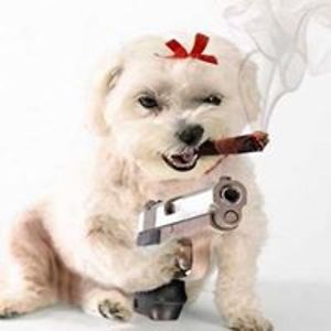 wilkersonjacquelynf avatar