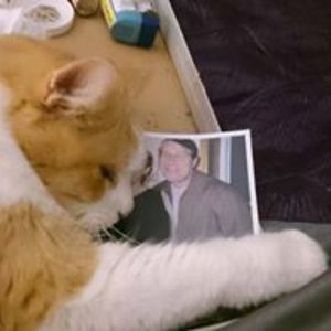 angel_face_84 avatar