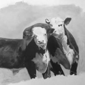 michellecrystalclark avatar