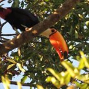 harrisonsusan60 avatar