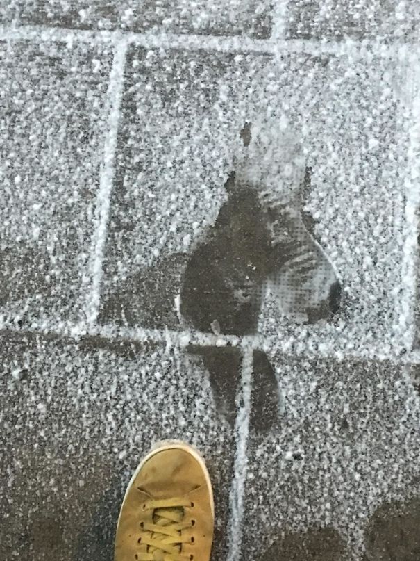 I Accidentally Painted A Horse With My Foot While Waiting For The Bus