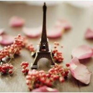 chandlercarleton avatar