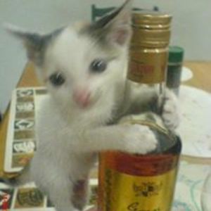 escolastica_veloso avatar