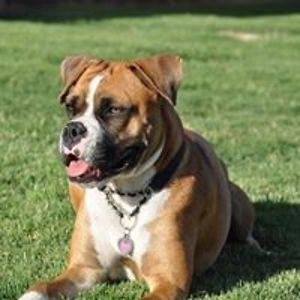 mojosqueen_dl avatar