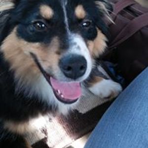 brenda-brandon avatar