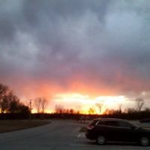 daubressejill avatar