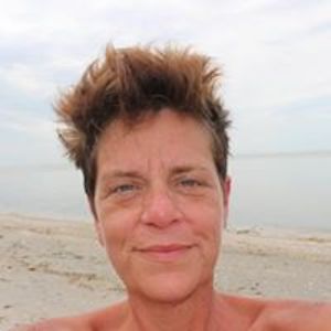 ginasylvestre avatar