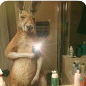 senseoftumour avatar