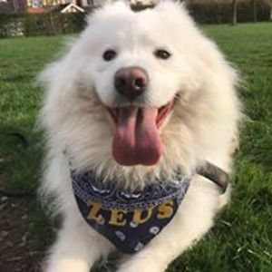 grnfieldfacebook avatar