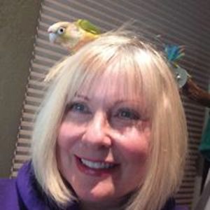 pattiannmartin avatar