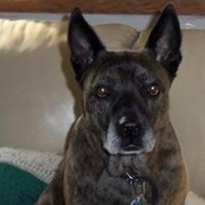 stuffstuff69694 avatar