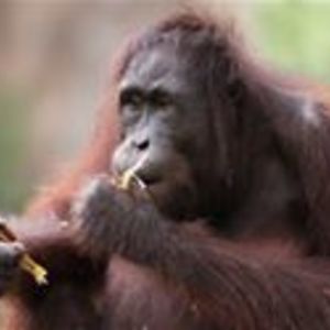 flutterby1785 avatar