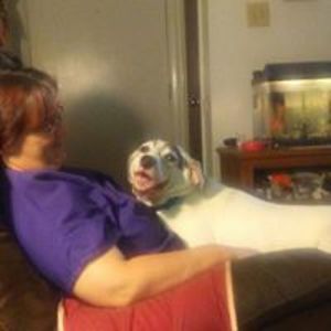 melissaahardy avatar