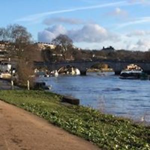 andy_shrimpton avatar