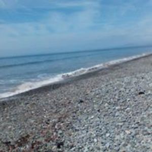 kayleegirl1994 avatar