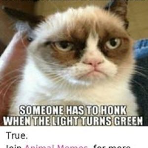 justsomeguycf38 avatar