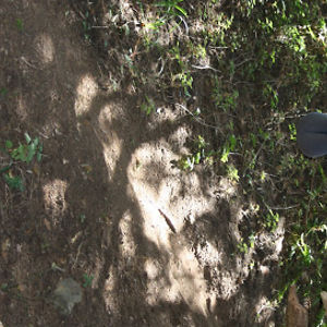 babyyoannababyyoanna avatar