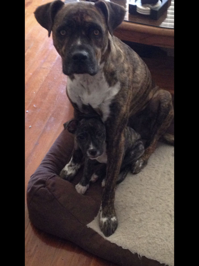 Big Sis Meeting The New Little Sis For The First Time.