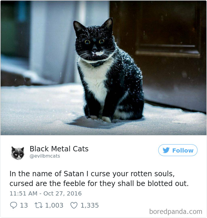 Black-metal-cats-lyrics-tweets