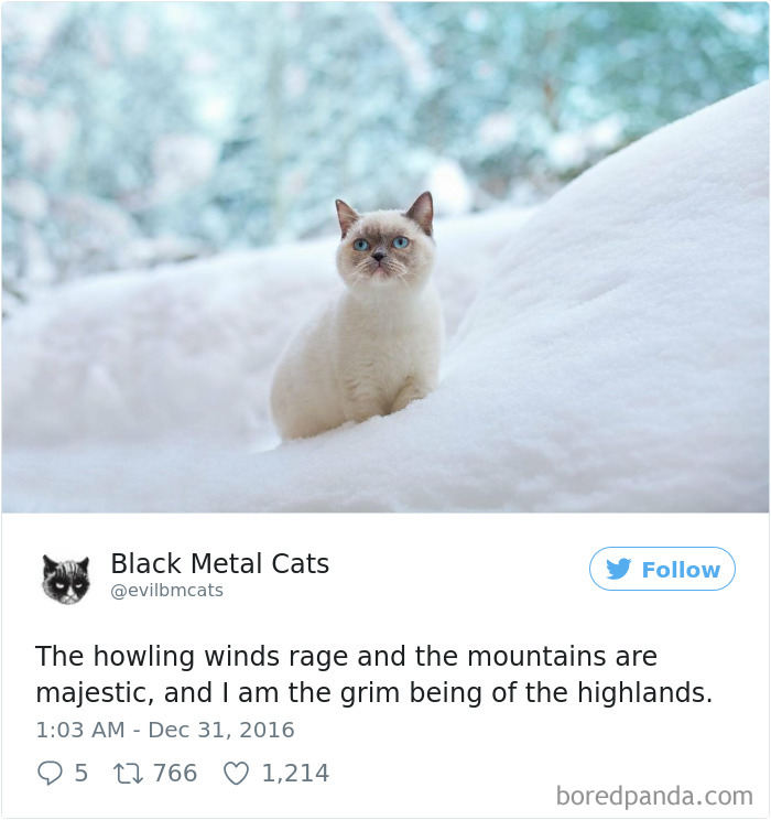 Black-metal-cats-lyrics-tweets