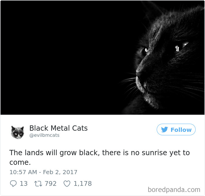 Black-metal-cats-lyrics-tweets