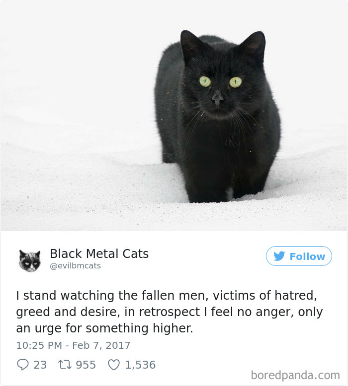 Black-metal-cats-lyrics-tweets