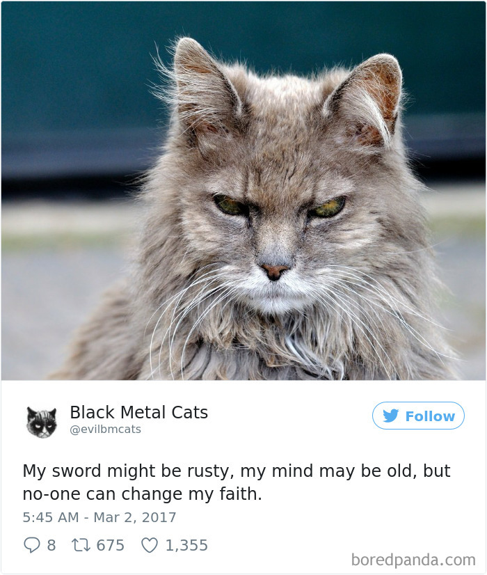 Black-metal-cats-lyrics-tweets
