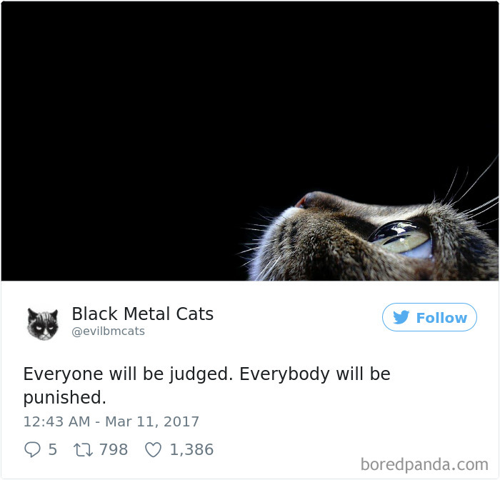 Black-metal-cats-lyrics-tweets