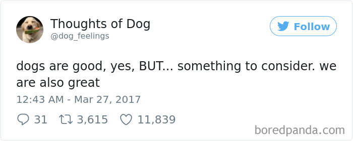 Dog Thoughts
