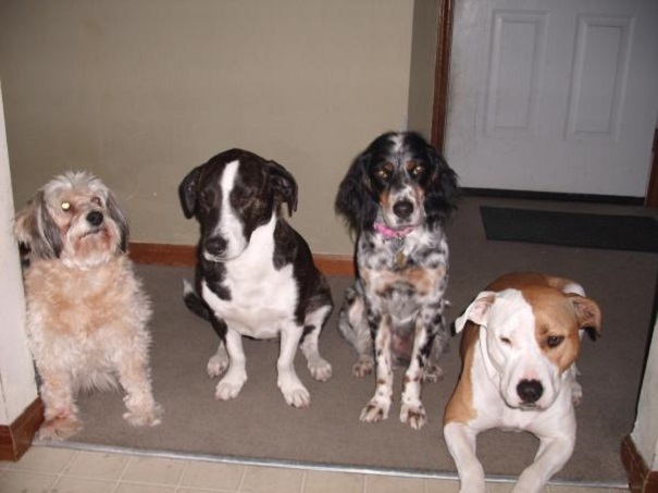 We Like Variety In Our House