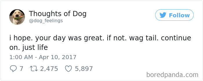 Dog Thoughts