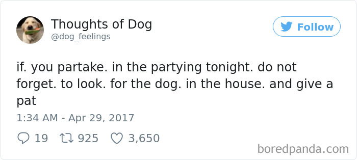 Dog Thoughts